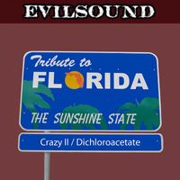 Evilsound - Tribute To Florida