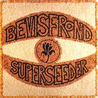 The Bevis Frond - Superseeder