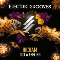 Hicham - Got a Feeling
