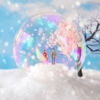 I WiSH - スノードーム