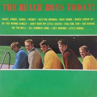 Beach Boys - The beach boys today