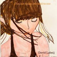 David Labeij - The Last Thing She Said to Me