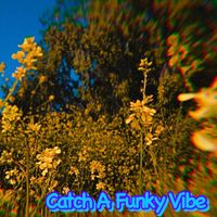 Dirtydom - Catch A Funky Vibe (feat. Ronnie Heard III)