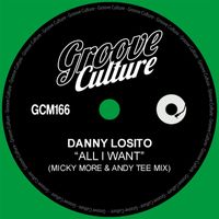 Danny Losito - All I Want (Micky More & Andy Tee Mix)