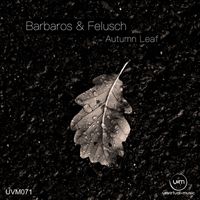 Bodo Felusch - Autumn Leaf