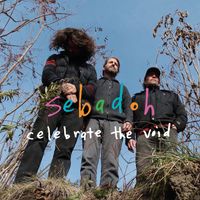 Sebadoh - celebrate the void