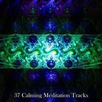 Yoga Sounds - 37 Calming Meditation Tracks