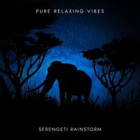 Pure Relaxing Vibes - Serengeti Rainstorm