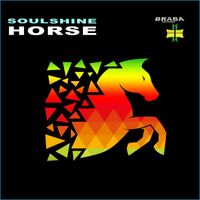 Soulshine - Horse