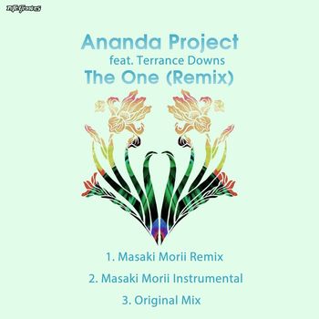 Ananda Project feat. Terrance Downs - The One (Remix)