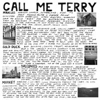 Terry - Gold Duck
