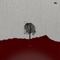 Brenky - About.you