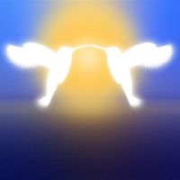 WATA - For the Birds: The Birdsong Project, Sound Bath Hummingbirds