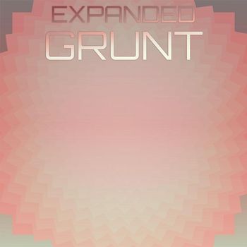 Various Artists - Expanded Grunt