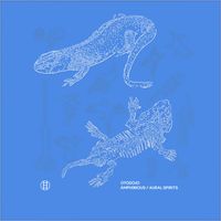Otodojo - Amphibious/aural Spirits