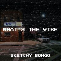 Sketchy Bongo - What's the Vibe