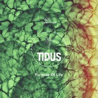 Tidus - Purpose of Life