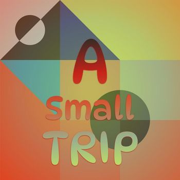 Various Artist - A Small Trip