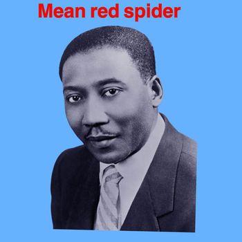 Muddy Waters - Mean red spider