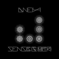 Dwella - SENSES GEOMETRY