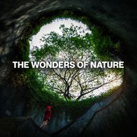 Nature Sound Collection - The Wonders of Nature