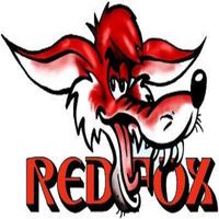 Red Fox - Et bilde sier mer enn tusen ord