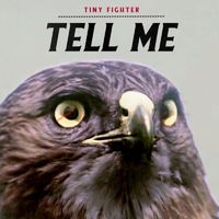 Tiny Fighter - Tell Me