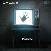 Dextramine 90 - Magnetic