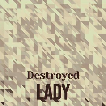 Various Artists - Destroyed Lady