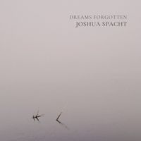 Joshua Spacht - Dreams Forgotten