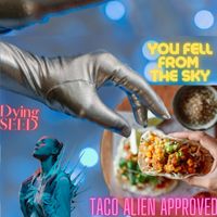 Dying Seed - You Fell from the Sky (Taco Alien Approved)