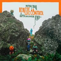 Pictish Trail - Remote Control (Superorganism Remix)