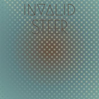 Various Artists - Invalid Steer