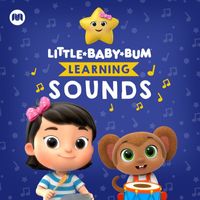 Little Baby Bum Learning - Learning Sounds
