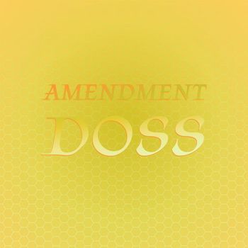 Various Artists - Amendment Doss