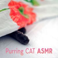 Life Sounds Nature - Purring Cat ASMR