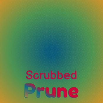 Various Artists - Scrubbed Prune