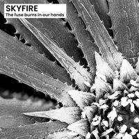 Skyfire - The Fuse Burns in Our Hands