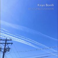 Kaiyo Bonilli - We Stumble Unaware