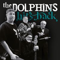the Dolphins - Hits Back
