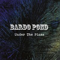 Bardo Pond - Under the Pines