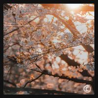 MIRAWIN - IMissYou / Feeling