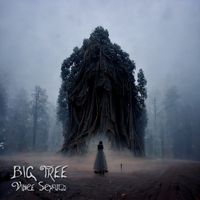 Vince Schuld - Big Tree