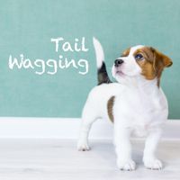 Beepcode - Tail wagging