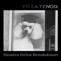 Yo La Tengo - Sinatra Drive Breakdown