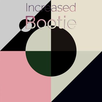 Various Artists - Increased Bootie