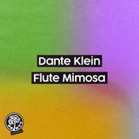 Dante Klein - Flute Mimosa