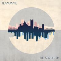 TeamMate - The Sequel