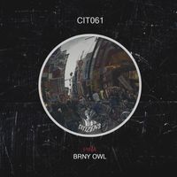 Brny Owl - Piña