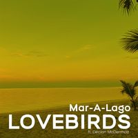 Lovebirds - Mar-A-Lago